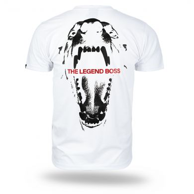TS391-11